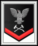 graphic of DC3 insignia