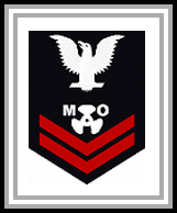 image of MoMM2c insignia