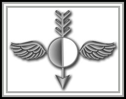 image of Aerographer's Mate insignia