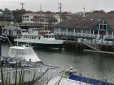 photograph of Shem Creek Harbor 