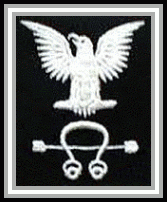 scan of a sonarman's insignia