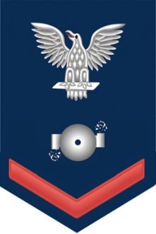 Boiler Technician 3rd class insignia