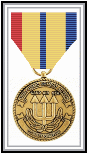 image of Combat Action medal 