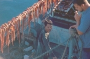 photograph showing red eels on  Vietnamese junk