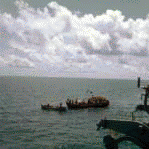 Our whaleboat going over to inspect a fishing boat. That is Roy Giroir on the right. 