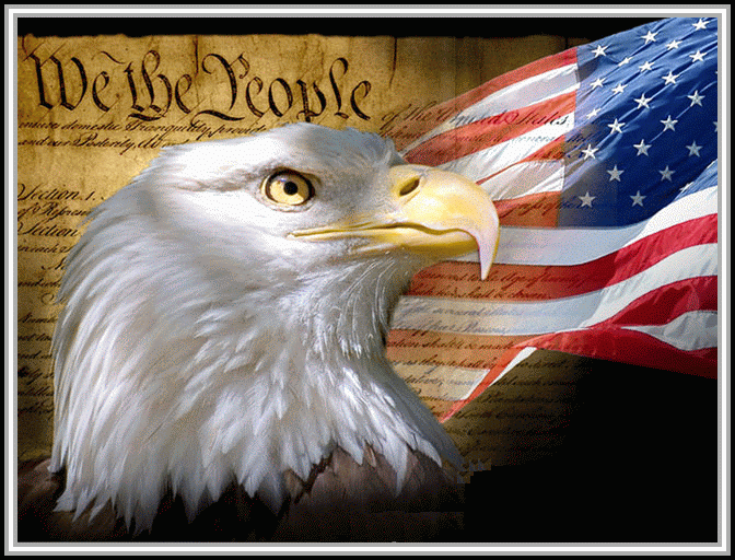 photograph of bald eagle with flag of the United States in background.